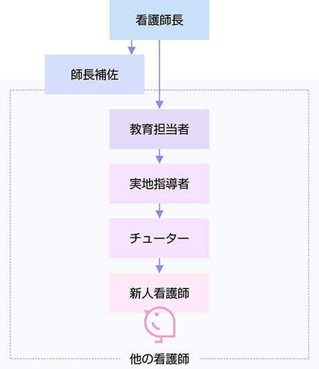 新人看護師支援体制