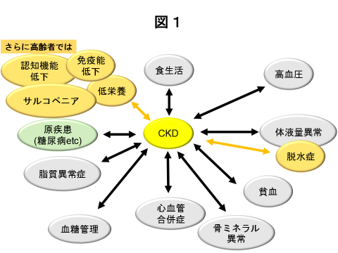 慢性腎臓病（CKD）図１