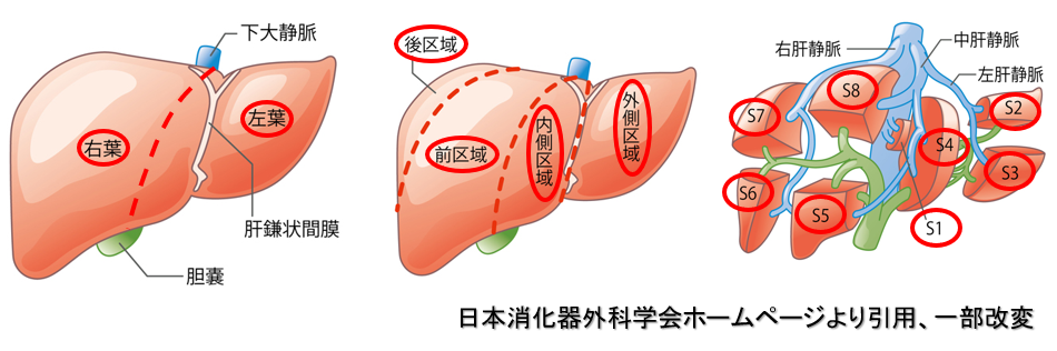 肝がんについて