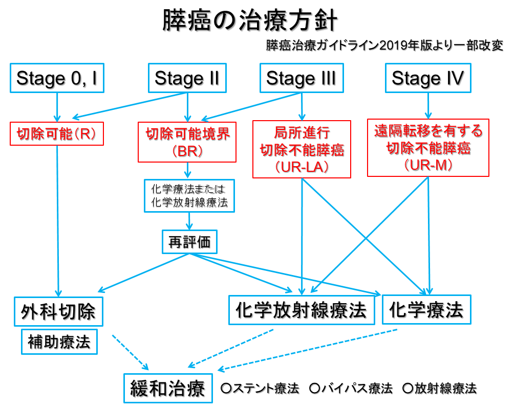 膵臓について