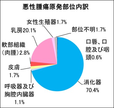 腫瘍内科受診患者 　悪性腫瘍原発部位内訳