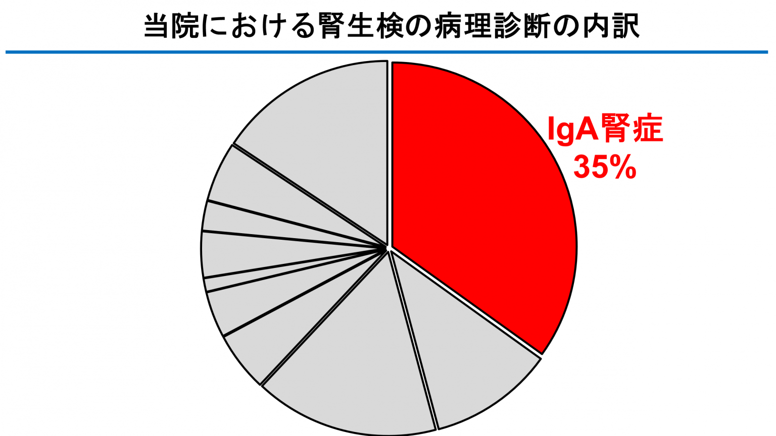 当院における腎生検の病理診断の内訳(IgA腎症)